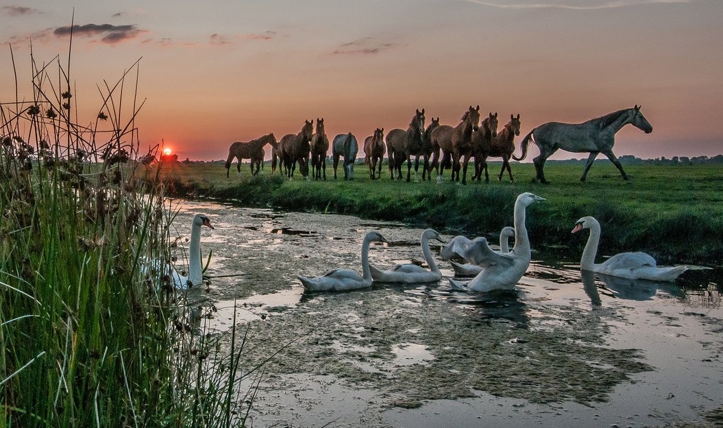 Afbeelding van Samenwerken aan een schone en veilige leefomgeving