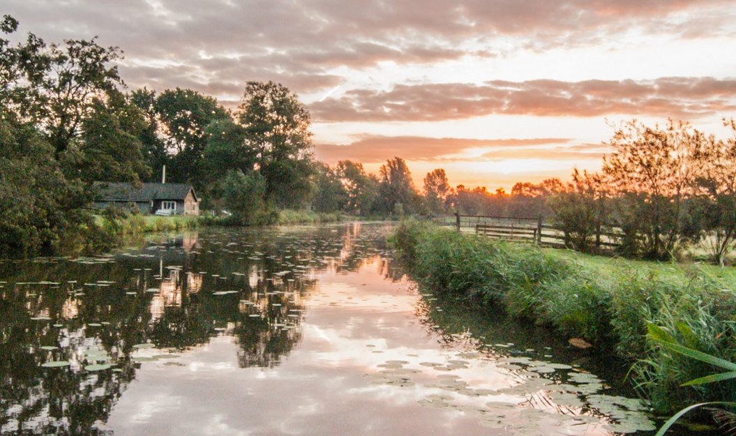 Afbeelding van Omgevingswet